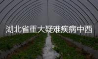 湖北省重大疑難疾病中西醫臨床協作項目專題答辯會在武漢舉行