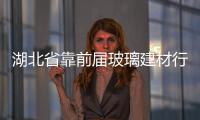 湖北省靠前屆玻璃建材行業信息化研討會召開,行業資訊