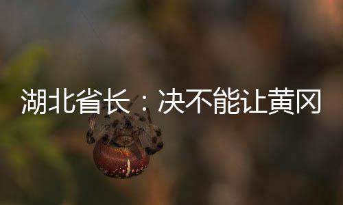 湖北省長：決不能讓黃岡成為第二個武漢