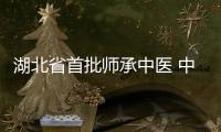 湖北省首批師承中醫 中醫“衡法”理論的創始人之一