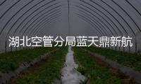 湖北空管分局藍天鼎新航空服務(wù)有限公司召開應(yīng)急手冊修訂工作會