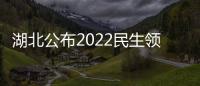 湖北公布2022民生領域“鐵拳”行動典型案例（第五批）