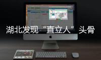 湖北發現“直立人”頭骨化石 歐亞最完整