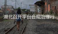 湖北召開平臺合規(guī)治理行政指導會