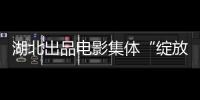 湖北出品電影集體“綻放”，中美電影節拿下三座“金天使獎”