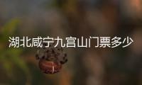 湖北咸寧九宮山門票多少錢（湖北咸寧九宮山景區介紹）