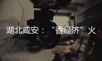 湖北咸安：“香經濟”火了金秋