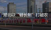 湖北以“鏈長制”打破農業瓶頸 整合資源護航重點產業