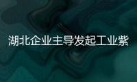 湖北企業主導發起工業紫外線檢測國際標準提案立項