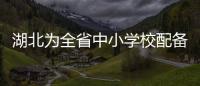 湖北為全省中小學(xué)校配備食品安全副校長(zhǎng)
