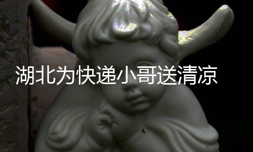 湖北為快遞小哥送清涼 送健康