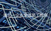 湖北一企業全體員工放棄休假生產口罩