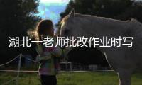 湖北一老師批改作業(yè)時(shí)寫下評(píng)語(yǔ)“你是孤兒?jiǎn)幔俊毙７椒Q將調(diào)查