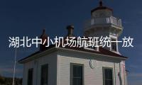 湖北中小機場航班統一放行系統順利通過中南網絡公司竣工驗收
