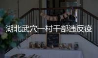 湖北武穴一村干部違反疫情防控工作紀(jì)律被撤職
