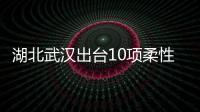 湖北武漢出臺10項柔性監管舉措
