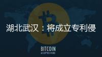湖北武漢：將成立專利侵權(quán)糾紛技術(shù)調(diào)查官庫(kù)