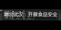 湖北武漢：開展食品安全專項整治 護航中高考