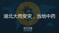 湖北大雨受災，當地中藥材品種再次受到關注！
