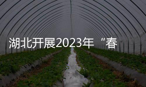 湖北開展2023年“春耕護農”專項行動