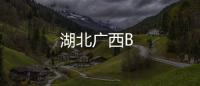 湖北廣西B