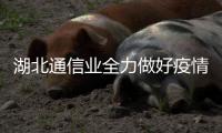 湖北通信業(yè)全力做好疫情防控支撐服務(wù)工作