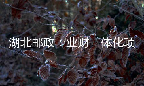 湖北郵政：業財一體化項目強化規范化管理