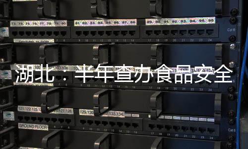 湖北：半年查辦食品安全違法案件7481件