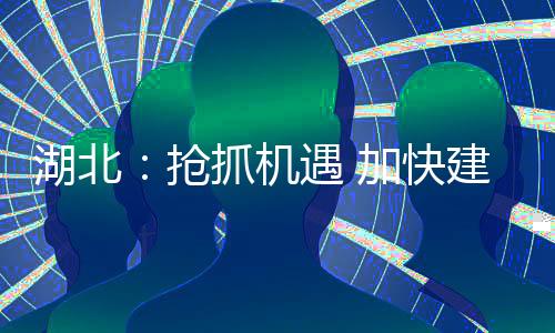 湖北：搶抓機(jī)遇 加快建設(shè)高端顯示產(chǎn)業(yè)集群