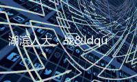 湖濱人大：戰(zhàn)“疫”時(shí)刻顯擔(dān)當(dāng)