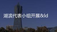湖濱代表小組開展“健康石獅 湖濱先行”專題調(diào)研