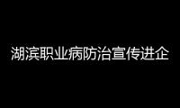 湖濱職業(yè)病防治宣傳進(jìn)企業(yè)