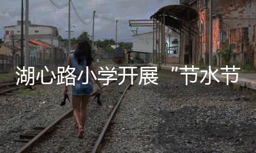 湖心路小學(xué)開展“節(jié)水節(jié)電節(jié)糧”主題活動_
