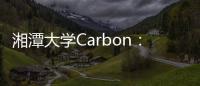 湘潭大學Carbon：新型多巴胺光電化學傳感器 – 材料牛