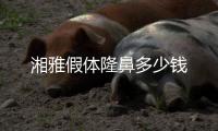 湘雅假體隆鼻多少錢(qián)
