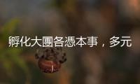 孵化大團各憑本事，多元樣貌的高雄音樂展演空間