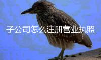 子公司怎么注冊營業(yè)執(zhí)照（子公司怎么注冊）