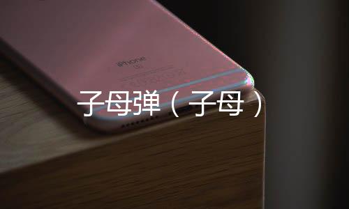 子母彈（子母）