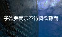 子欲養(yǎng)而親不待樹欲靜而風不止[流淚]
