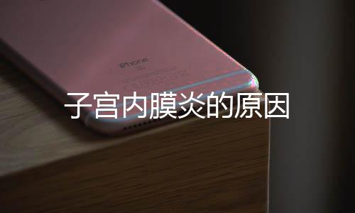 子宮內膜炎的原因