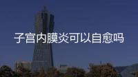 子宮內(nèi)膜炎可以自愈嗎