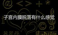 子宮內(nèi)膜脫落有什么感覺?子宮內(nèi)膜脫落有什么癥狀?
