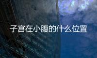子宮在小腹的什么位置