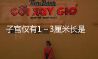 子宮僅有1～3厘米長是始基子宮?細說什么是始基子宮