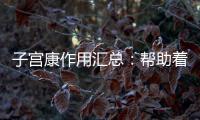 子宮康作用匯總：幫助著床、改善子宮環境僅為其功效之一