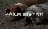 子宮長息肉能夠同房嗎