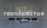 子宮腔內凍胚竟在干這事！移植第3、第4天狀態有差別