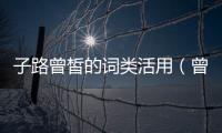 子路曾皙的詞類活用（曾皙后的后詞類活用）