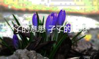 孑孓的意思 孑孓的意思解釋