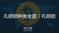 孔明鎖種類全圖（孔明鎖種類）